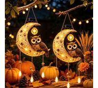 Gufo per solare Luce Luna per giardino per decorazione Auto Accensione Al