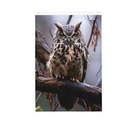 Gufo su un ramo Bandiera da giardino di benvenuto 2 x 3 Ft Double Sided No Fade House Yard Bandiere Photo Sfondo Banner per Cortile Portico Prato Decorazione Esterna