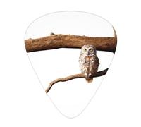 Gufo su un ramo stampato set di plettri - 12 pezzi, sottili, medi e spessi, adatti per chitarra, basso, chitarra elettrica e ukulele