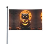 Gufo Zucca Felice Halloween 1 Outdoor Quattro Stagioni Bandiera Doppio Lato Vacanza Bandiera Con Asola Sfondo Decorativo Forniture Per Il Partito
