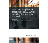 Guía para la aplicación práctica de la LO 1/2025: Medidas de eficiencia procesal