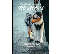 Guía Práctica para el Adiestramiento a tu Border Collie: Estrategias de Adiestramiento para Principiantes
