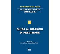 Guida al bilancio di previsione. Vademecum 2020. Vol. 1
