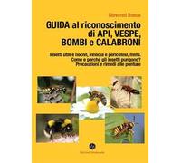 Guida al riconoscimento di api, vespe, bombi e calabroni