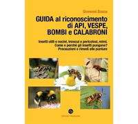 Guida al riconoscimento di api, vespe, bombi e calabroni
