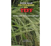 Guida alla Coltivazione del Teff