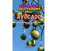 Guida alla Coltivazione dell' Avocado: Impara come coltivare ottimi Avocado