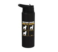 Guida alla formazione della Bretagna Spaniel - American Brittany Stainless Steel Insulated Water Bottle