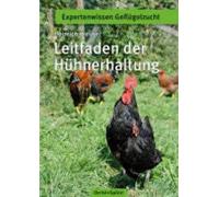 Guida Alla Gallina