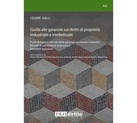 Guida alle garanzie sui diritti di proprietà industriale