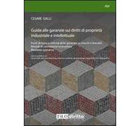 Guida alle garanzie sui diritti di proprietà industriale e intellettuale