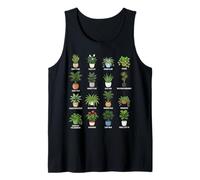 Guida Botanica delle Piante d'appartamento Che purificano l'aria in Vaso Canotta