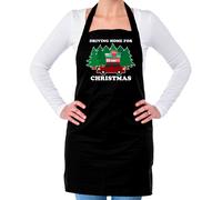 Guida Casa per Natale - Unisex Adulti Grembiule - Chris Rea Babbo Natale Regalo