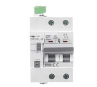 Guida DIN GYM9 2P MCB con dispositivo autoreclosure Reset Circuit Breaker Smart Home MCB Auto Recloser (GRD9L-R-AC220 Auto,2P-MCB-16A)