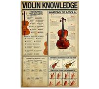 Guida per l'insegnamento del violino Targhe in metallo Decorazioni per la casa Conoscenza del violino Poster in latta Camera Decorazione della parete del club Placca Regalo per gli amanti della chitar
