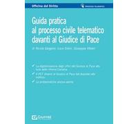 Guida pratica al processo civile telematico davanti al Giudice di Pace