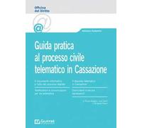 Guida pratica al processo civile telematico in Cassazione