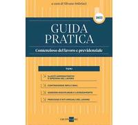 Guida pratica contenzioso del lavoro e previdenziale