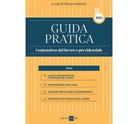 Guida pratica contenzioso del lavoro e previdenziale