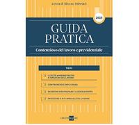 Guida Pratica Contenzioso del lavoro e previdenziale 2025