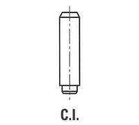 IPSA VG068400 Guida valvola