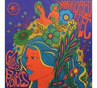 Guided By Voices - Mirrored Aztec