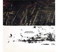 Guided By Voices Sweating the Plague (Vinyl LP) 12" Album