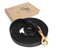 Guiding Star Guinzaglio per cani in pelle, 2,4 m, resistente guinzaglio in pelle intrecciata per addestramento per cani, camminata e corsa, morbido e resistente, lungo guinzaglio in pelle per cani di