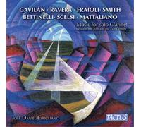 Music For Solo Clarinet Between 20Th & 21St Century: Gavilan, R... (Audio Cd)