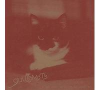 Guillemots - I Saw Such Things in...