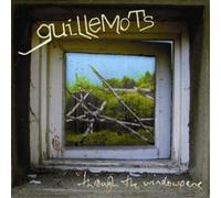 Guillemots Through the Window Pane Album