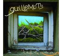 Guillemots - Through The Windowpane