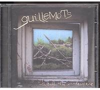 Guillemots - Through The Windowpane