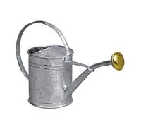 GUILLOUARD 80300 Annaffiatoio, Grigio