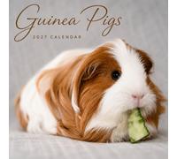 Guinea Pigs Calendar 2027: Guinea Pig Photography Collection