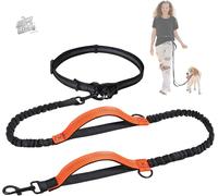 Guinzaglio Da Jogging per Cani Di Taglia Media E Grande, Elastico E Riflettente,