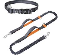 Guinzaglio Da Jogging per Cani Di Taglia Media E Grande, Elastico E Riflettente,