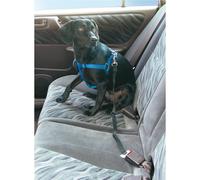 GUINZAGLIO DI SICUREZZA ATTACCO PER CINTURA STOPDOG CANI MAX 25 KG CORA AUTO
