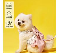 Guinzaglio e pettorina in stile giapponese 3-in-1 con design a fiocco, adatto per razze di cani come il Barboncino e il Teddy L,M,S,XL,XXLPiantePoliestere