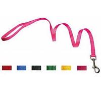 GUINZAGLIO NYLON 25x1200 BLU
