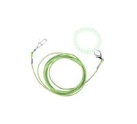 Guinzaglio per addestramento al volo con catena anti-fuga, corda di sicurezza resistente per esterni per pappagalli, per il controllo del volo e l'esercizio.,Verde,2 metri