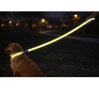 guinzaglio per cani - Fergu fluo giallo - 200 cm x 25 mm - nylon - riflettente - impugnatura morbida