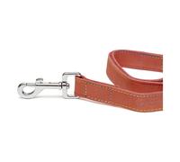 Guinzaglio per Cani Gloria Oasis 2.1 x 100 cm Rosso