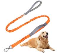 Guinzaglio per Cani, Lunghina Cane, Flexi Guinzaglio, Moschettone, Resistente Adatto per Tutti i Cani Addestramento Del Cane, Giocare, Sicurezza, Campeggio