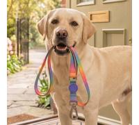 Guinzaglio per cani Regular in raso Intense con aggancio rapido Spring Blossom Morso Taglia M cani 6-20 kg - 1° ORDINE? scegli lo sconto BZR5 / BZR20 + 200 punti fedeltà