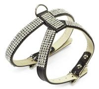 GUINZAGLIO+PETTORINA P C/S BL2