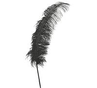 Guirca Piuma di struzzo gigante 45-50 cm colore a scelta