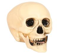 Guirca Teschio Mandibola Semovibile Party Halloween Allestimento Addobbo cm 20 Nuovo