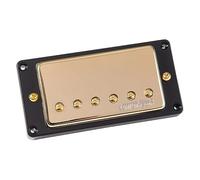 Guitar Tech wvcbgd stile Wilkinson PAF pick-up ponti oro