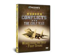 Gulf War First Strike [Edizione: Regno Unito] [Edizione: Regno Unito]